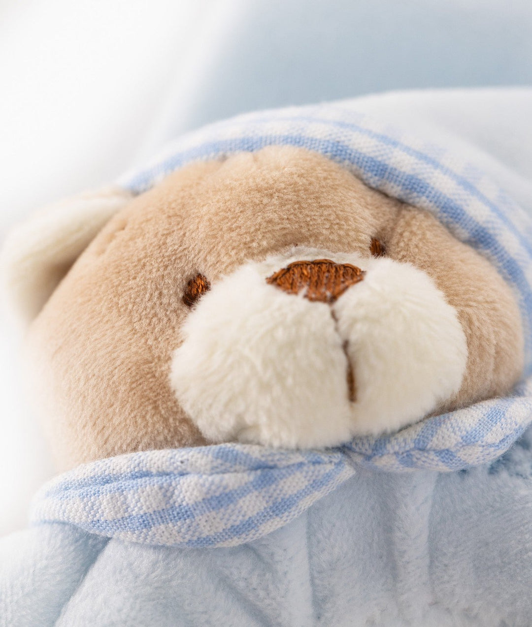 Detail of tan plush bear face texture and embroidered features