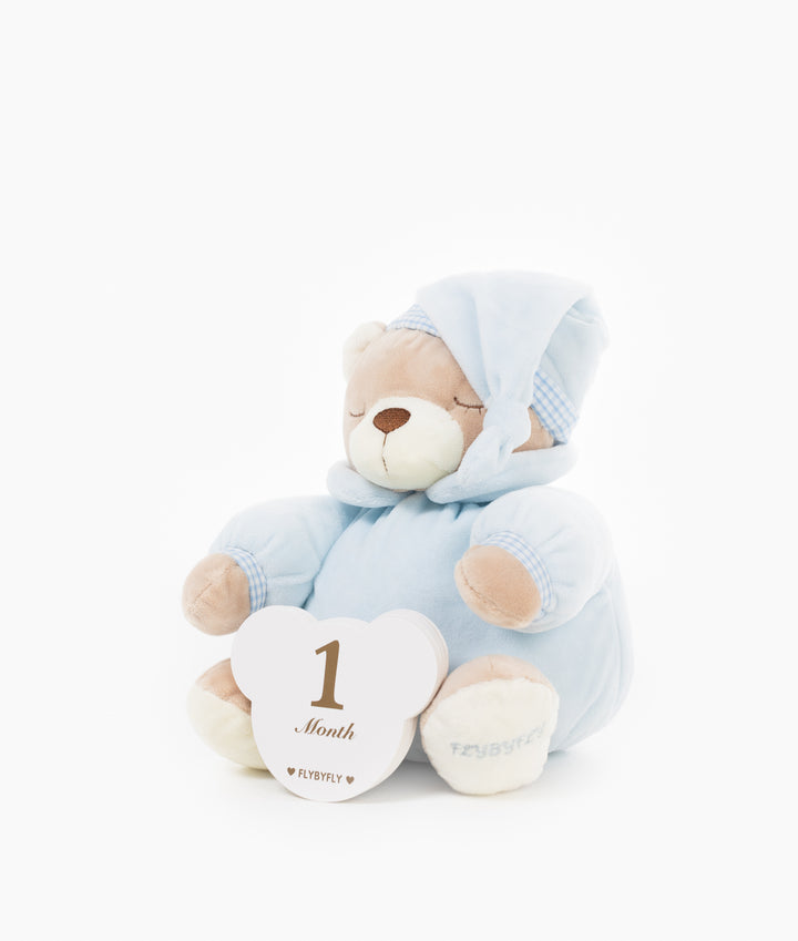 Baby milestone cards in blue